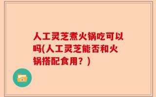 人工灵芝煮火锅吃可以吗(人工灵芝能否和火锅搭配食用？)