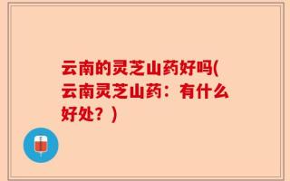 云南的灵芝山药好吗(云南灵芝山药：有什么好处？)