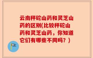 云南秤砣山药和灵芝山药的区别(比较秤砣山药和灵芝山药，你知道它们有哪些不同吗？)