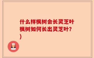 什么样枫树会长灵芝叶枫树如何长出灵芝叶？)