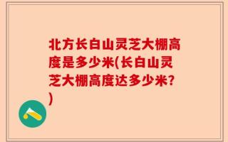 北方长白山灵芝大棚高度是多少米(长白山灵芝大棚高度达多少米？)