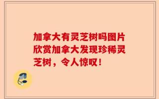 加拿大有灵芝树吗图片欣赏加拿大发现珍稀灵芝树，令人惊叹！
