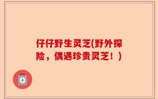 仔仔野生灵芝(野外探险，偶遇珍贵灵芝！)