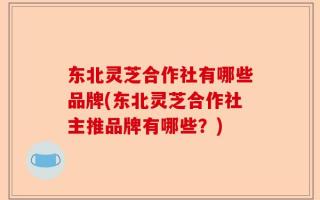 东北灵芝合作社有哪些品牌(东北灵芝合作社主推品牌有哪些？)