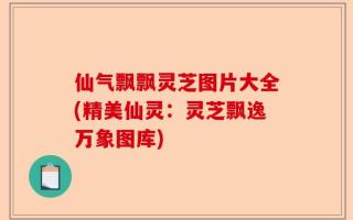 仙气飘飘灵芝图片大全(精美仙灵：灵芝飘逸万象图库)