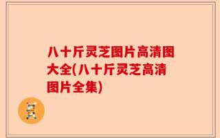 八十斤灵芝图片高清图大全(八十斤灵芝高清图片全集)
