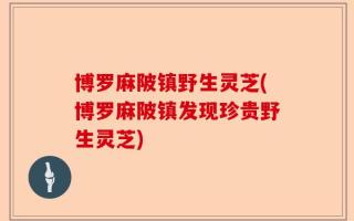 博罗麻陂镇野生灵芝(博罗麻陂镇发现珍贵野生灵芝)