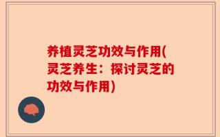 养植灵芝功效与作用(灵芝养生：探讨灵芝的功效与作用)
