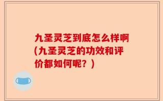 九圣灵芝到底怎么样啊(九圣灵芝的功效和评价都如何呢？)