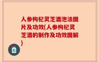 人参枸杞灵芝酒泡法图片及功效(人参枸杞灵芝酒的制作及功效图解)