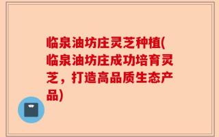 临泉油坊庄灵芝种植(临泉油坊庄成功培育灵芝，打造高品质生态产品)