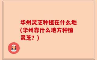 华州灵芝种植在什么地(华州靠什么地方种植灵芝？)