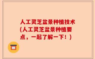 人工灵芝盆景种植技术(人工灵芝盆景种植要点，一起了解一下！)