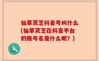 仙草灵芝抖音号叫什么(仙草灵芝在抖音平台的账号名是什么呢？)
