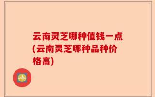 云南灵芝哪种值钱一点(云南灵芝哪种品种价格高)