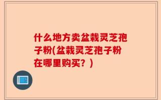 什么地方卖盆栽灵芝孢子粉(盆栽灵芝孢子粉在哪里购买？)
