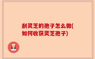 刮灵芝的孢子怎么做(如何收获灵芝孢子)