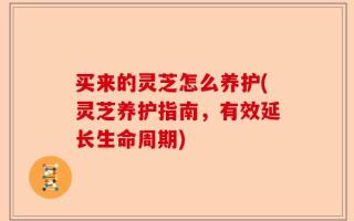 买来的灵芝怎么养护(灵芝养护指南，有效延长生命周期)