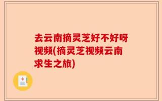 去云南摘灵芝好不好呀视频(摘灵芝视频云南求生之旅)