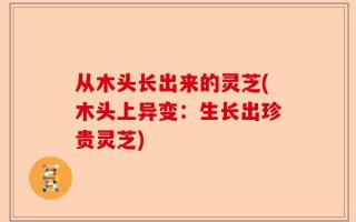 从木头长出来的灵芝(木头上异变：生长出珍贵灵芝)