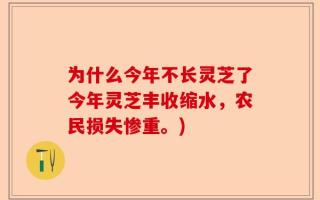 为什么今年不长灵芝了今年灵芝丰收缩水，农民损失惨重。)