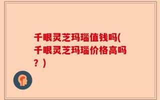千眼灵芝玛瑙值钱吗(千眼灵芝玛瑙价格高吗？)