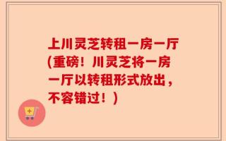 上川灵芝转租一房一厅(重磅！川灵芝将一房一厅以转租形式放出，不容错过！)