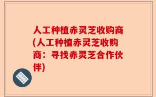 人工种植赤灵芝收购商(人工种植赤灵芝收购商：寻找赤灵芝合作伙伴)