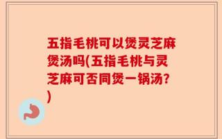五指毛桃可以煲灵芝麻煲汤吗(五指毛桃与灵芝麻可否同煲一锅汤？)