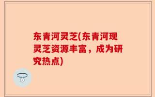 东青河灵芝(东青河现灵芝资源丰富，成为研究热点)