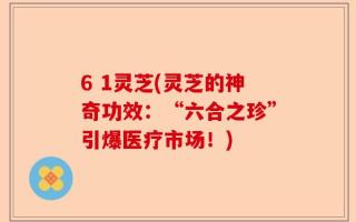 6 1灵芝(灵芝的神奇功效：“六合之珍”引爆医疗市场！)