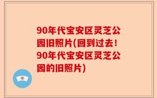 90年代宝安区灵芝公园旧照片(回到过去！90年代宝安区灵芝公园的旧照片)