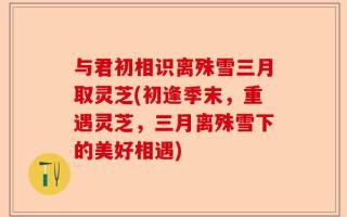 与君初相识离殊雪三月取灵芝(初逢季末，重遇灵芝，三月离殊雪下的美好相遇)