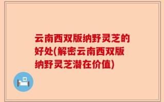 云南西双版纳野灵芝的好处(解密云南西双版纳野灵芝潜在价值)
