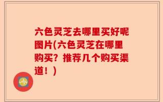六色灵芝去哪里买好呢图片(六色灵芝在哪里购买？推荐几个购买渠道！)