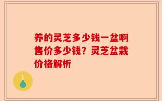 养的灵芝多少钱一盆啊售价多少钱？灵芝盆栽价格解析