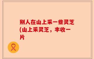 别人在山上采一些灵芝(山上采灵芝，丰收一片