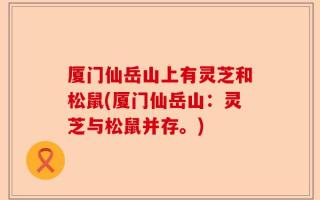 厦门仙岳山上有灵芝和松鼠(厦门仙岳山：灵芝与松鼠并存。)