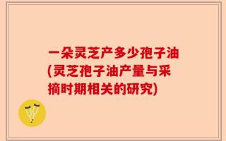 一朵灵芝产多少孢子油(灵芝孢子油产量与采摘时期相关的研究)