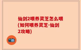 仙剑2喂养灵芝怎么喂(如何喂养灵芝-仙剑2攻略)
