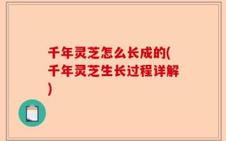 千年灵芝怎么长成的(千年灵芝生长过程详解)