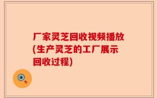 厂家灵芝回收视频播放(生产灵芝的工厂展示回收过程)