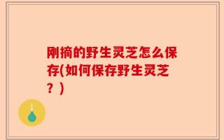 刚摘的野生灵芝怎么保存(如何保存野生灵芝？)