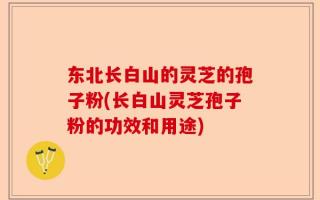 东北长白山的灵芝的孢子粉(长白山灵芝孢子粉的功效和用途)
