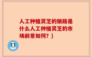 人工种植灵芝的销路是什么人工种植灵芝的市场前景如何？)