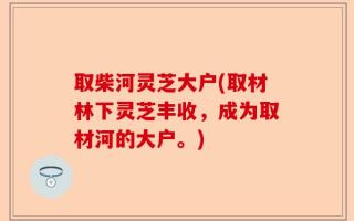 取柴河灵芝大户(取材林下灵芝丰收，成为取材河的大户。)