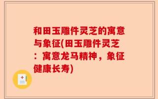 和田玉雕件灵芝的寓意与象征(田玉雕件灵芝：寓意龙马精神，象征健康长寿)