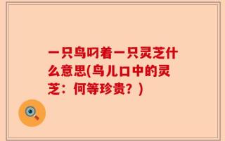 一只鸟叼着一只灵芝什么意思(鸟儿口中的灵芝：何等珍贵？)