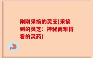 刚刚采摘的灵芝(采摘到的灵芝：神秘而难得看的灵药)