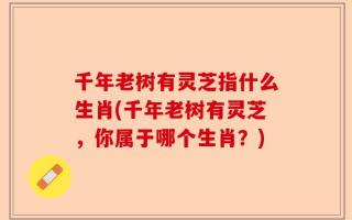 千年老树有灵芝指什么生肖(千年老树有灵芝，你属于哪个生肖？)
